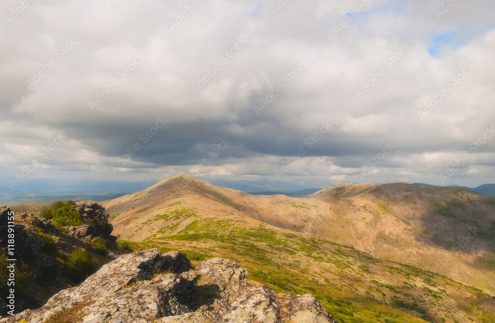 Summer landscape. Summer landscape.
