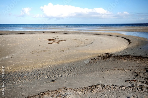 Wallpaper Mural walking through the Western Pomerania Lagoon Area National Park Torontodigital.ca
