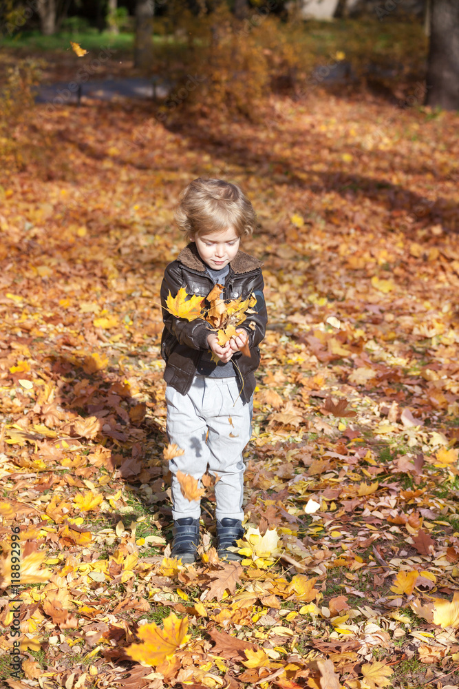 Small boy playing with yellow leaves in autumn park. Happy kid throwing autumn leaves and having fun in nature. Small boy playing with yellow leaves in autumn park. Happy kid throwing autumn leaves and having fun in nature.