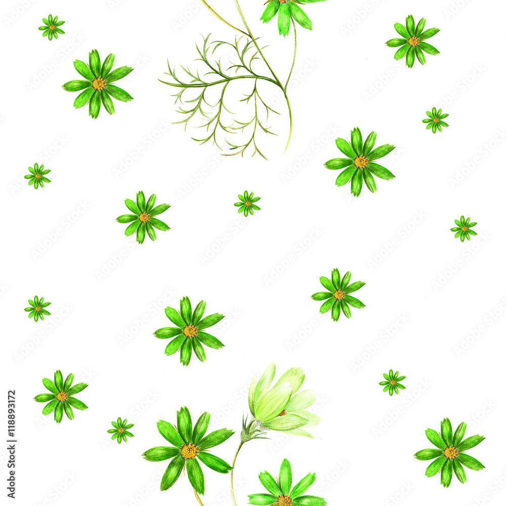 Naklejka premium Watercolor pattern of a cosmos flowers