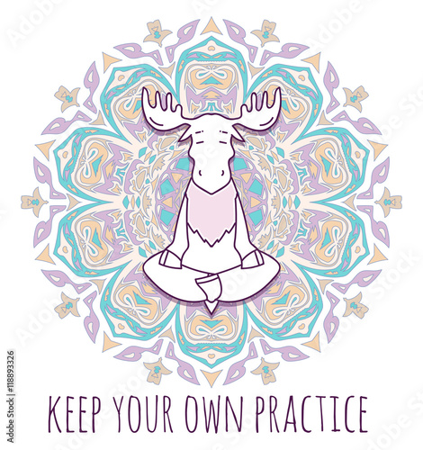 Meditative Animals series.