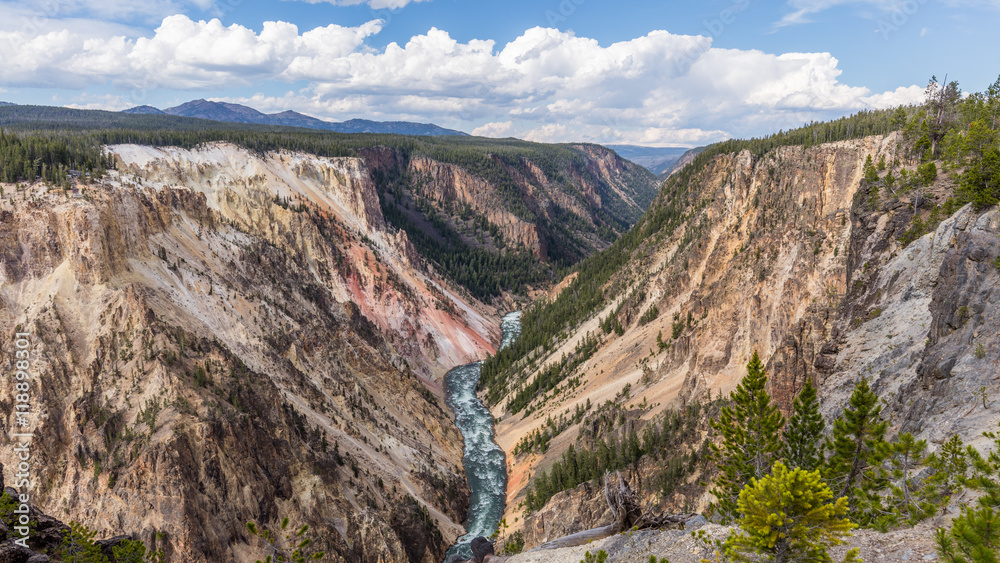 Mountain landscape. Stormy river flows in a narrow gorge. Point sublime on the Grand Canyon of the Yellowstone, Yellowstone National Park, Wyoming