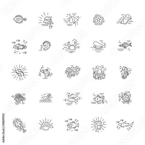 Marine life icon set. Nautical design elements isolated on background.