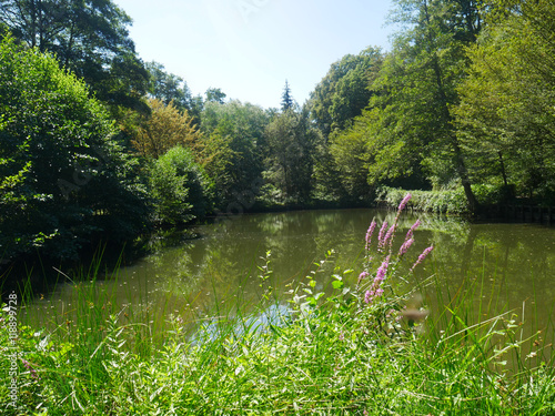 Bord de l'eau photo