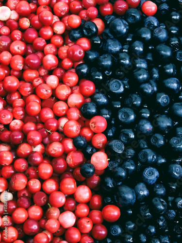 red-purple berry background blueberries and cranberries.