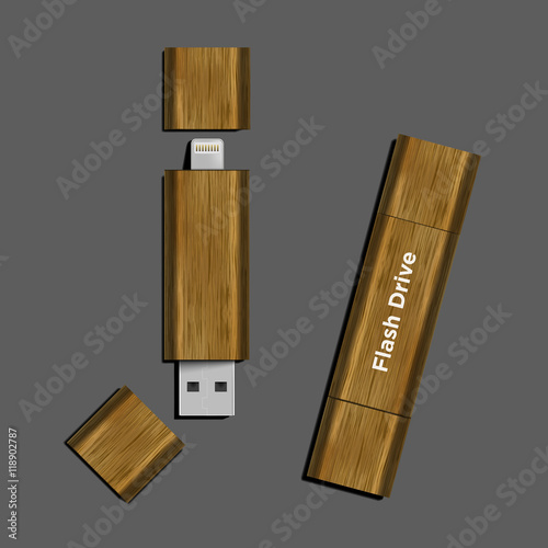Vector of wood Dual-USB/ Micro USB Flash Drive