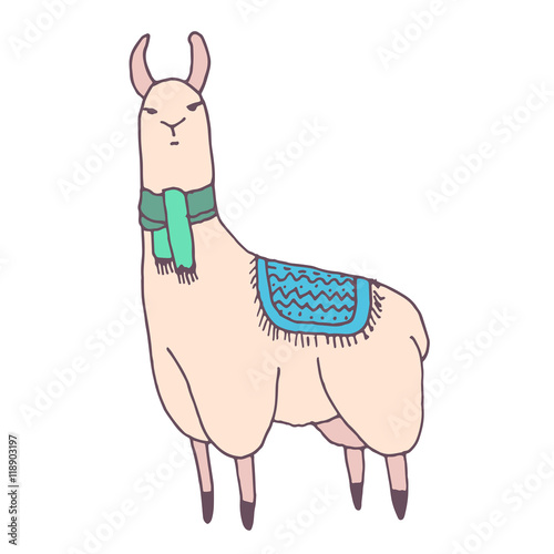 Vector cute lama illustration. Llama or alpaca hand drawn ink sketch. Cute mammal animal drawing with decorative ornaments