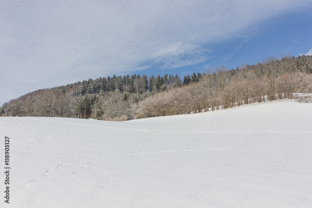 Einsame Winterlandschaft mit Schnee