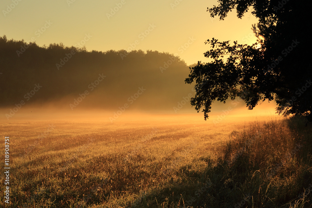 Fototapeta premium Wschód słońca nad polami i lasem.