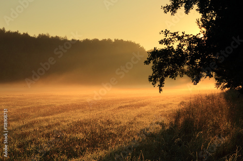 Wschód słońca nad polami i lasem.