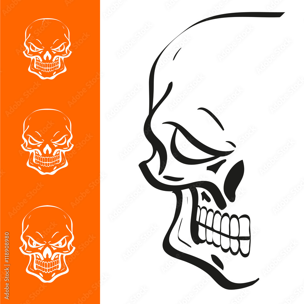 skull illustration skull illustration