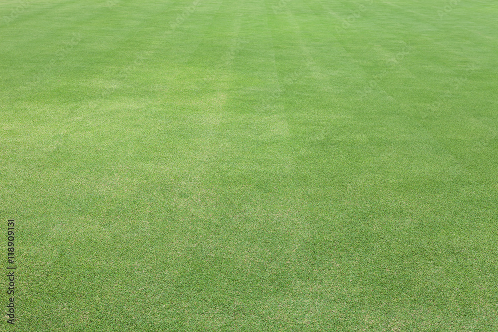 Green grass in golf Fairway ,Grass field background. Green grass in golf Fairway ,Grass field background.