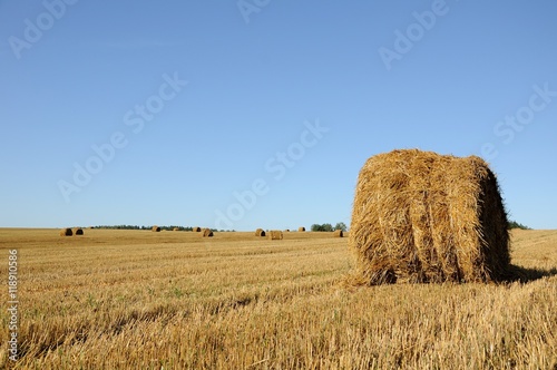straw bales on the field