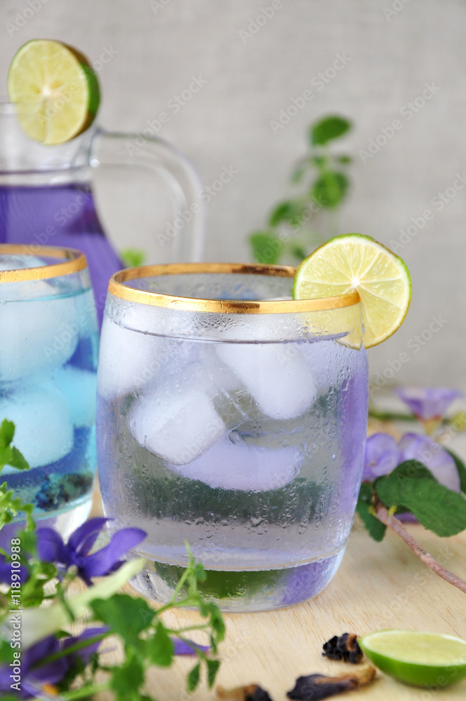 Fototapeta premium Butterfly Pea Drink