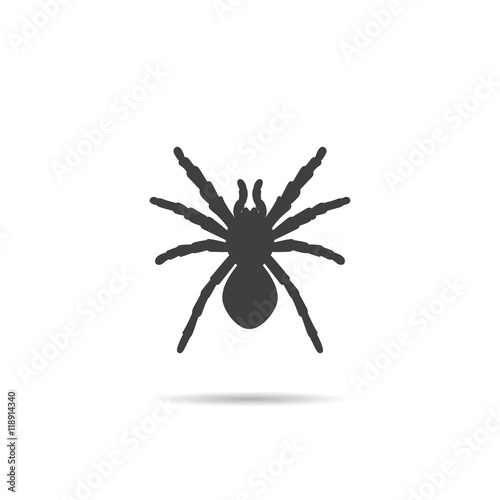 Spider Silhouette, icon.