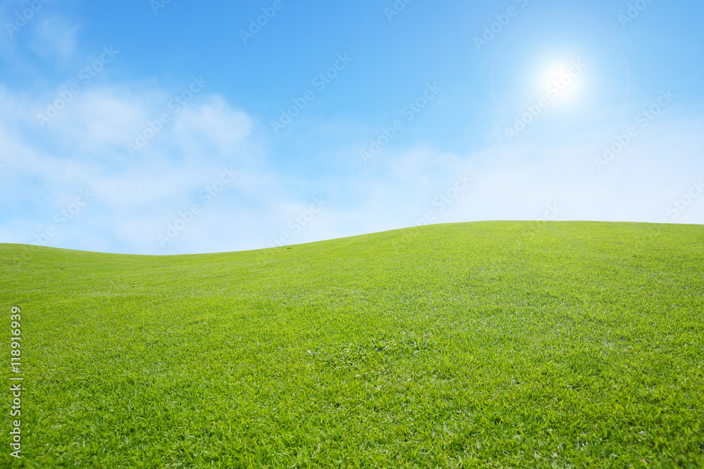 Obraz premium background of green field with blue sky