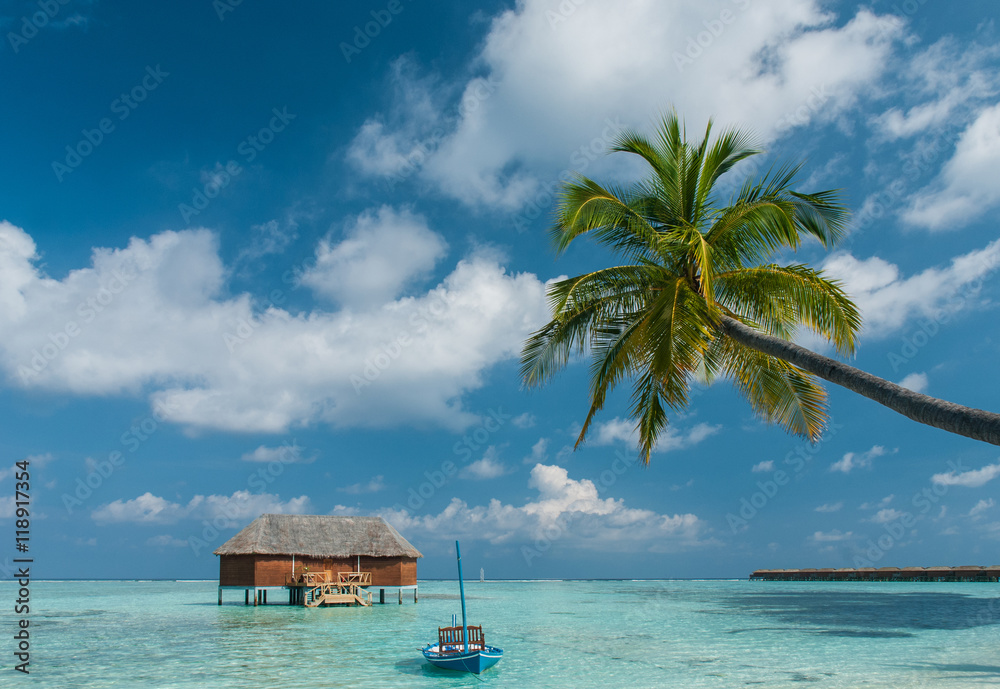 Fototapeta premium Maldivian island