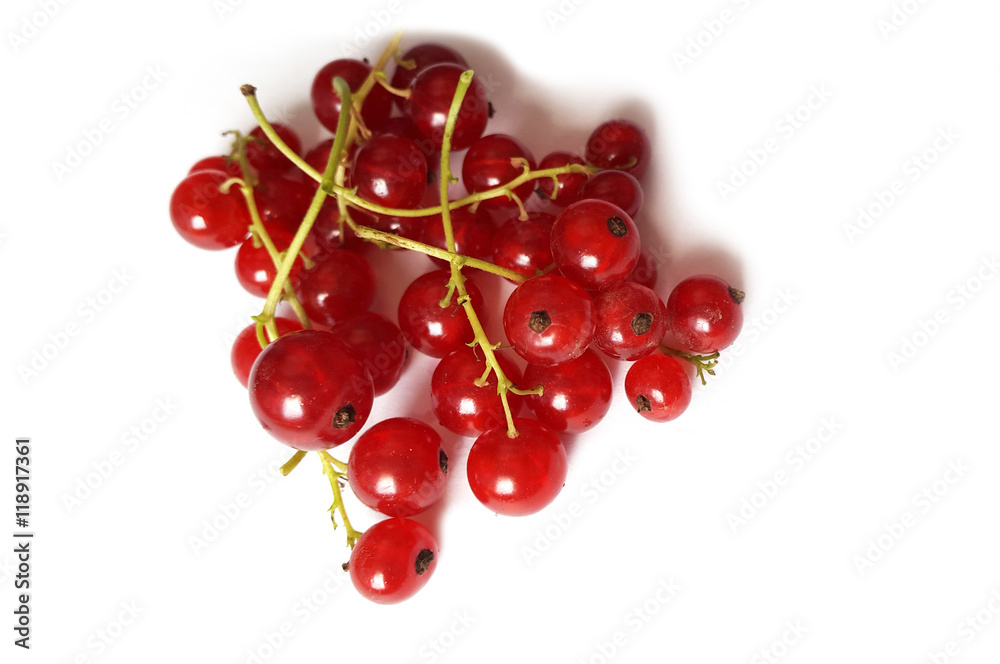 red currant - summer acid berry red currant - summer acid berry