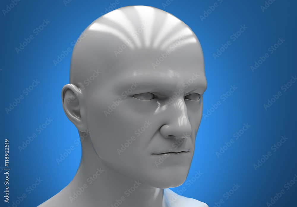 Male mannequin head Male mannequin head