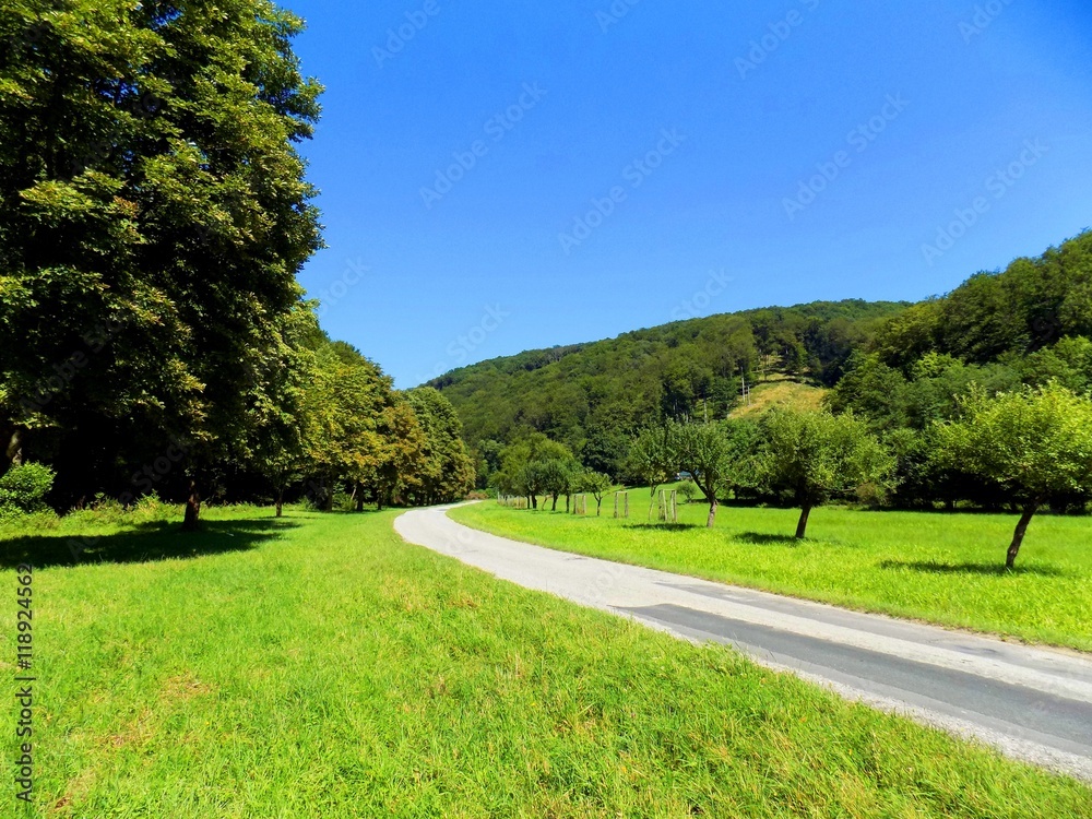 Asphalt road between meadow and deciduous forest Asphalt road between meadow and deciduous forest