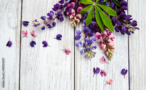 Lupine flowers on a table