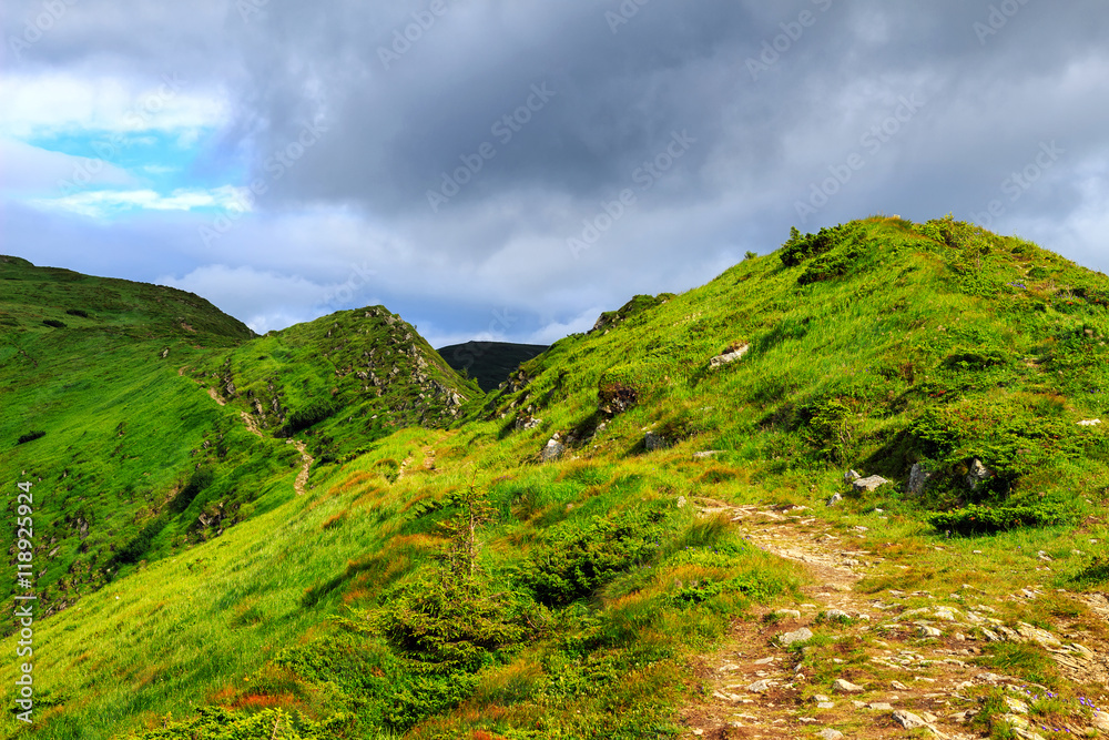 Fototapeta premium Picturesque Carpathian mountains landscape, trail on the ridge, Ukraine.