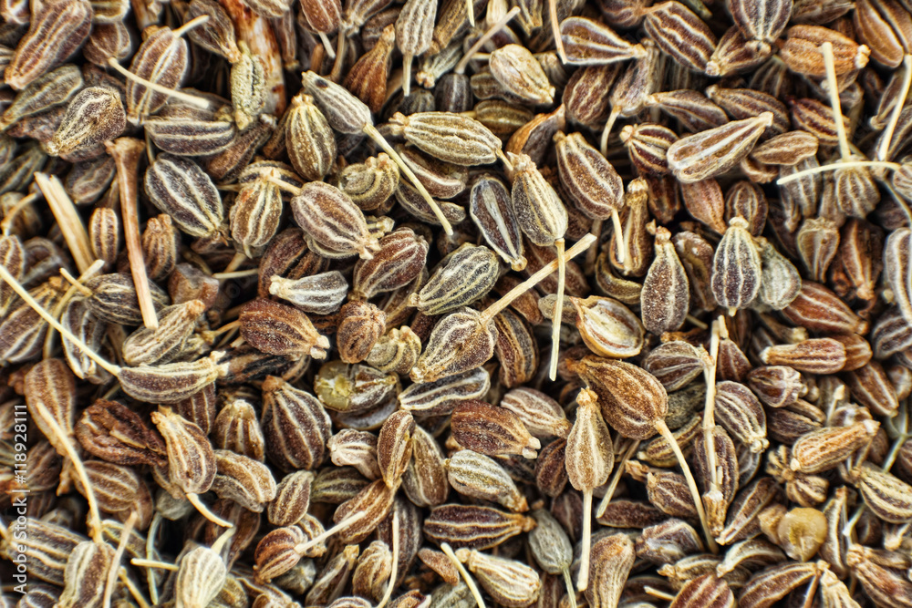Dried anise seeds taken closeup as food background.