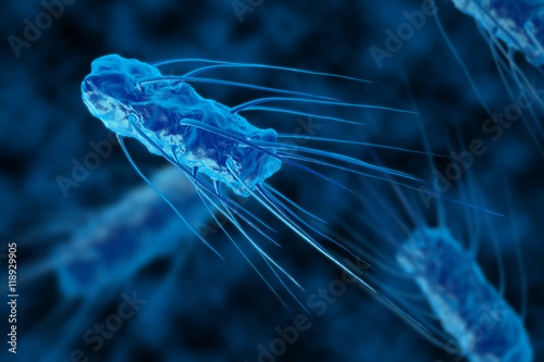 Bacteria 3D render. Cylinder virus blue style. View under a microscope for bacteria