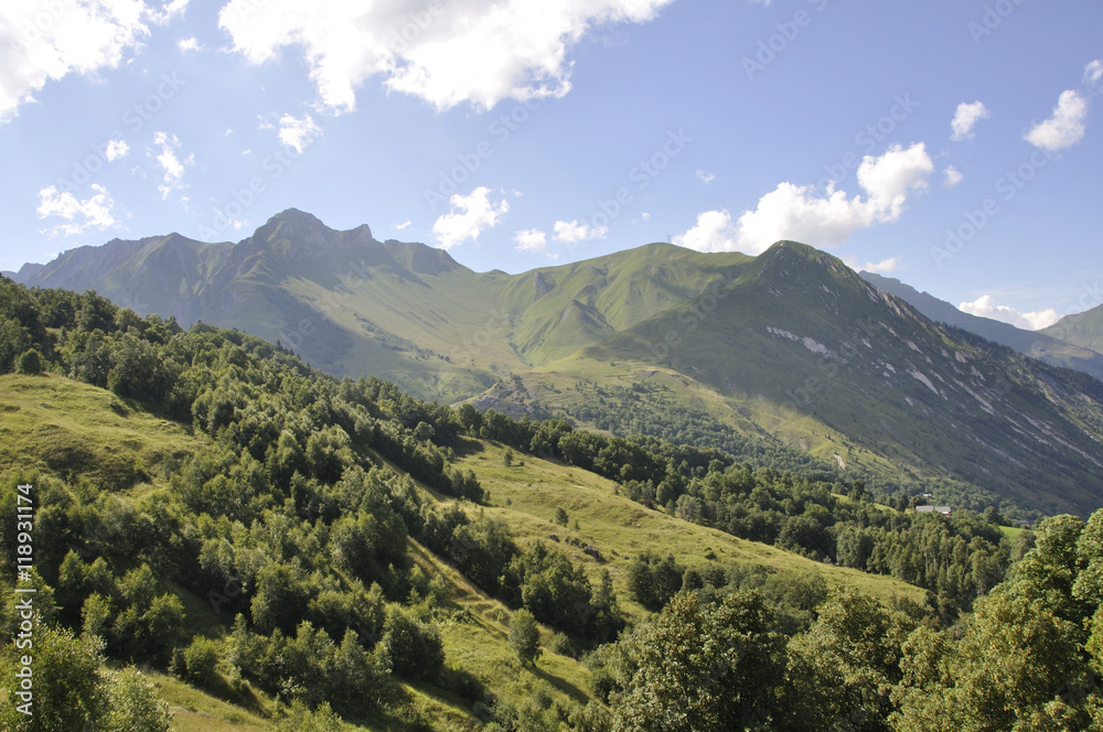 Naklejka premium Paysage savoyard en été