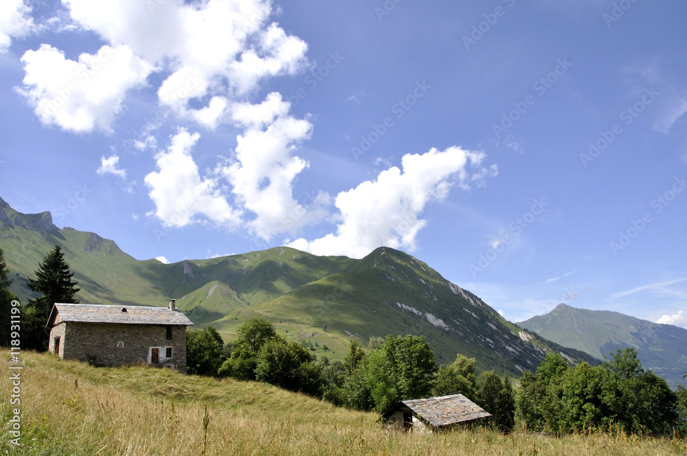 Paysage savoyard en été