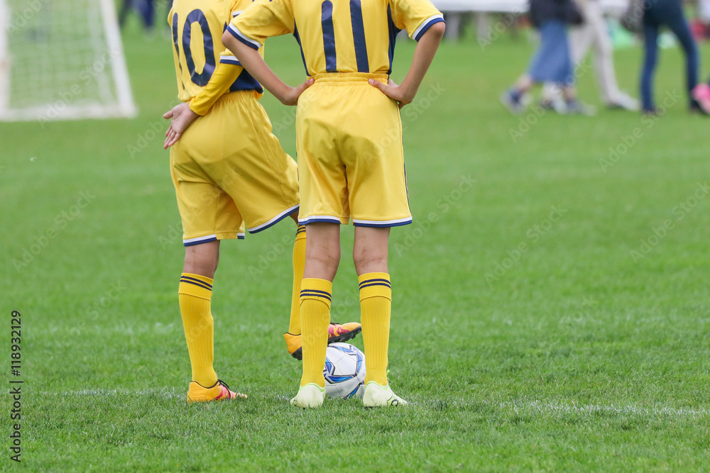 Fototapeta premium サッカー フットボール