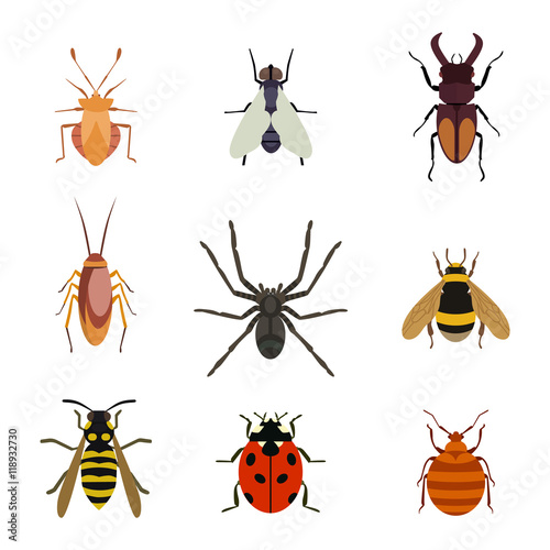 Insect icons flat set isolated on white background