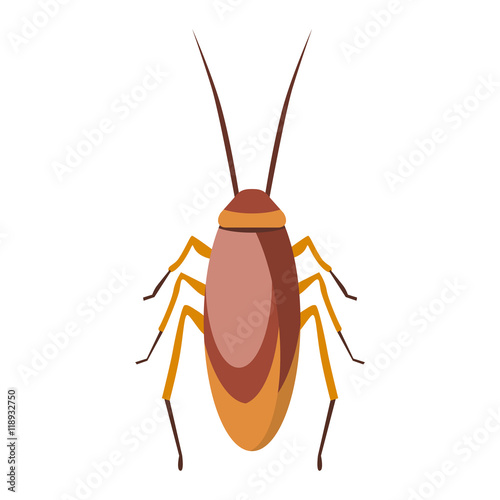 Cockroach bug cartoon flat vector.