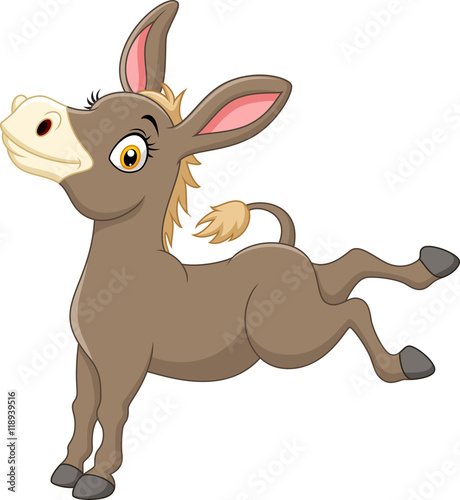 Happy donkey isolated on white background