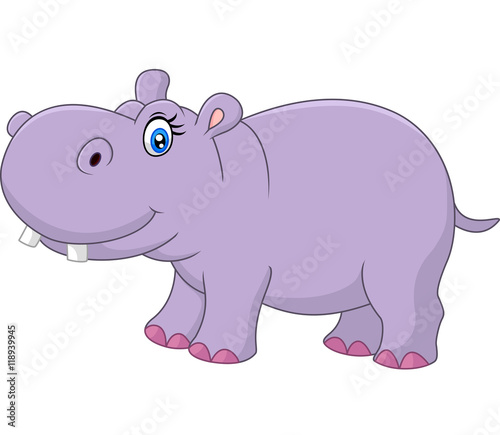 Cute hippo isolated on white background 