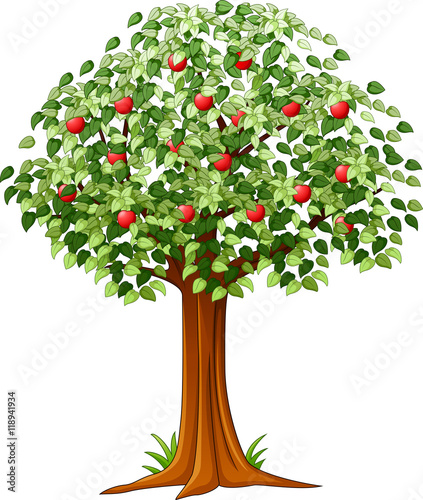 Green Apple tree full of red apples isolated