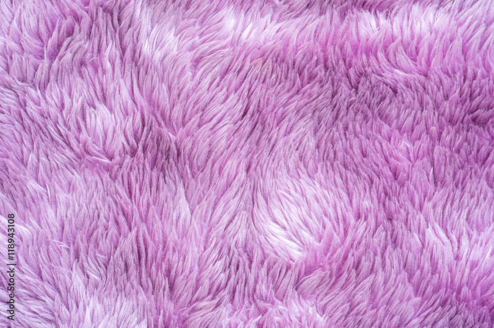 Closeup surface abstract fabric pattern at the purple fabric carpet at the floor of house texture background Closeup surface abstract fabric pattern at the purple fabric carpet at the floor of house texture background