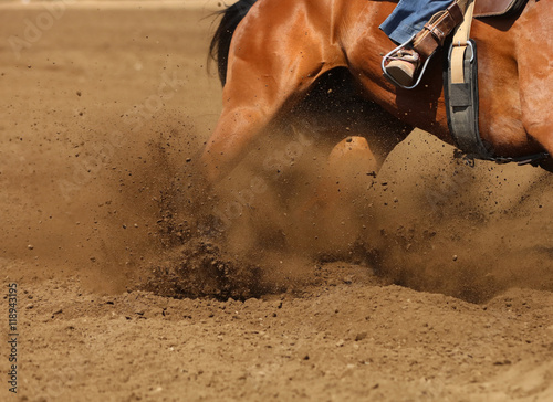 A racing horse skidding in the dirt.