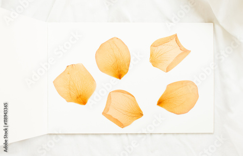 Dried  rose flowers on white notebook