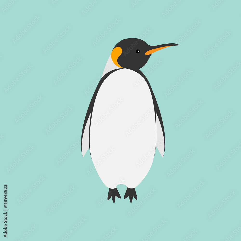 Obraz premium King Penguin Emperor Aptenodytes Patagonicus Flat design Winter antarctica background