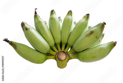 Banana unripe one bunch on white background,isolated
