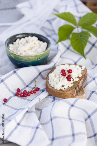Organic Farming Cottage cheese in a green bowl, slice of whole wheat bread with Homemade Ricotta cheese served with red currant on wooden board on linen fabric