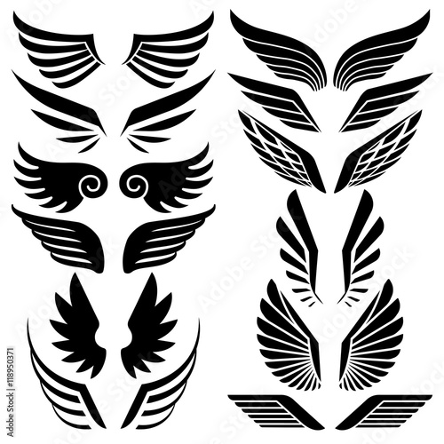 Wings set. Vector illustration