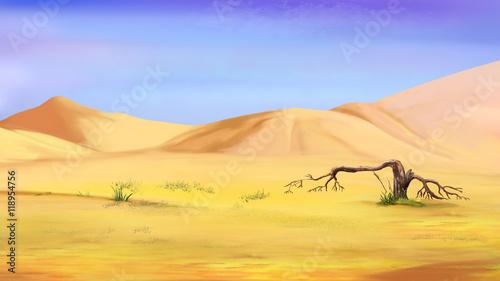 Dried Small Tree in the Desert