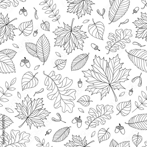 Autumn seamless pattern with seeds and leaves © natalypaint