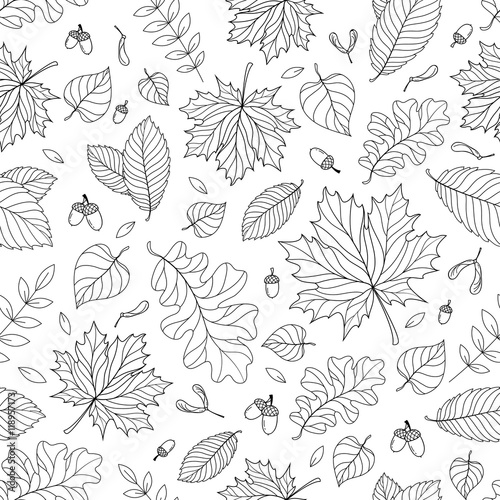 Autumn seamless pattern with seeds and leaves
