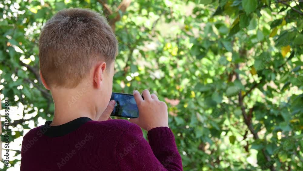Boy taking picture of nature view with his smartphone Boy taking picture of nature view with his smartphone