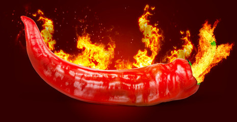 Papier peint photo Piments forts Piment rouge embrasé sur noir  © vadarshop