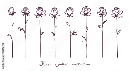 Roses. Collection of isolated rose flower sketch on white background