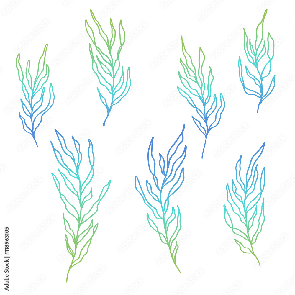 blue green seaweed floral plant illustration blue green seaweed floral plant illustration